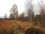 Beuninger Achterveld